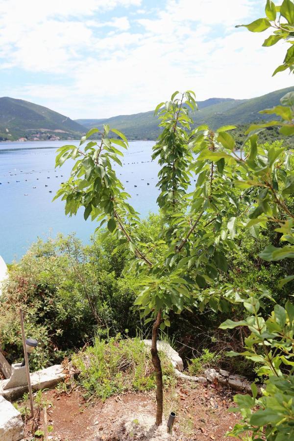 Apartments By The Sea Kabli, Peljesac - 10221 Brijesta Екстер'єр фото